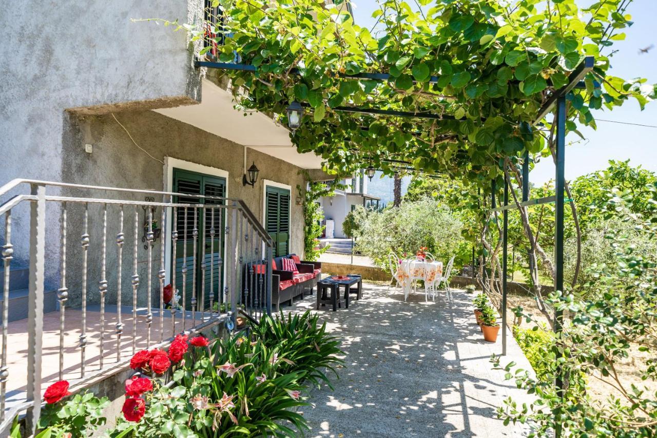 Apartment Laurel Leaf Lovorno Exterior photo