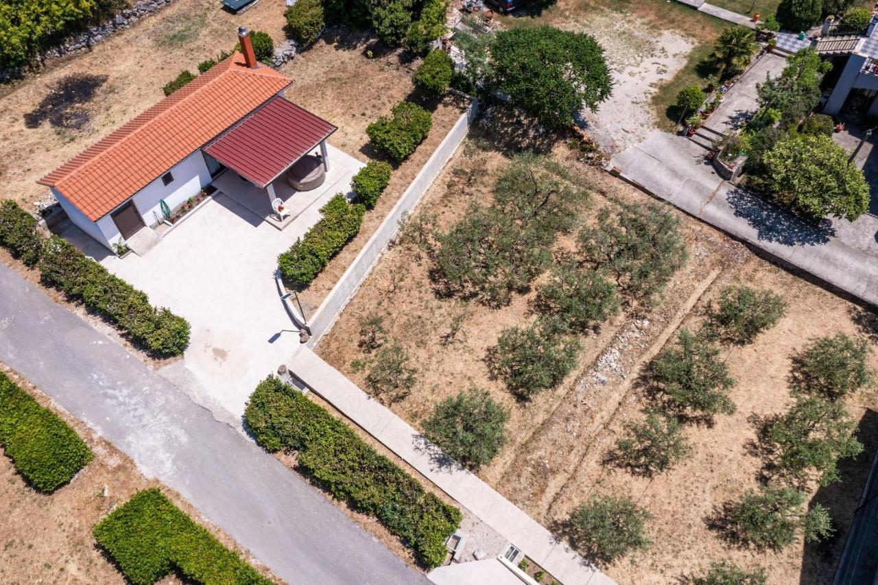 Apartment Laurel Leaf Lovorno Exterior photo